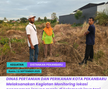 Kegiatan ATR & Pemeriksaan Kebuntingan Sapi