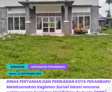 Panen Melon Bersama Wali Kota & Wakil Wali Kota