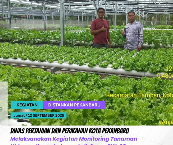 Monitoring Tanaman Hidroponik Non-Kelompok