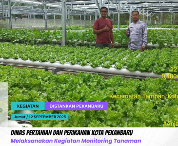 Rapat Koordinasi Kegiatan Pertanian bersama Seluruh Anggota Bidang Pertanian dan Penyuluhan