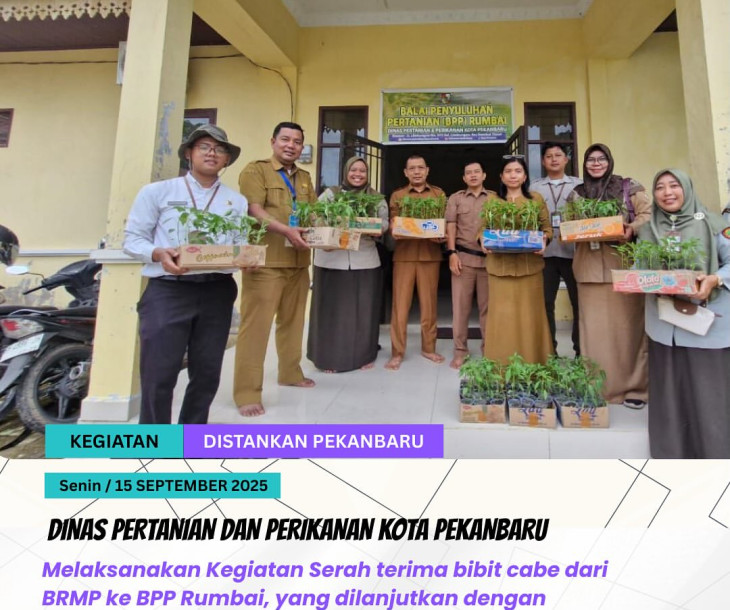 Serah Terima Bibit Cabe di BPP Rumbai