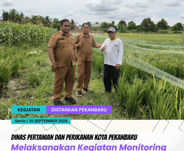 Kunjungan Kepala Dinas Pertanian dan Perikanan Kota Pekanbaru ke Kelurahan Meranti Pandak, Kecamatan Rumbai