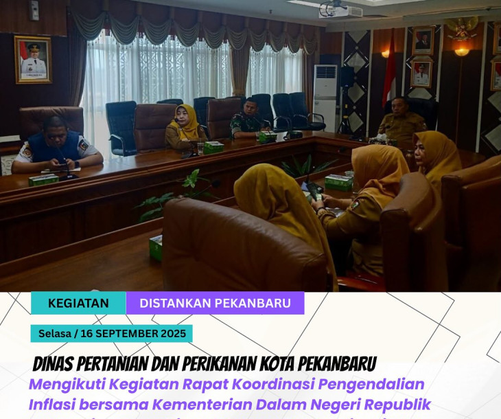 Rapat Koordinasi Pengendalian Inflasi Daerah secara virtual bersama Kementerian Dalam Negeri (Kemendagri) Republik Indonesia