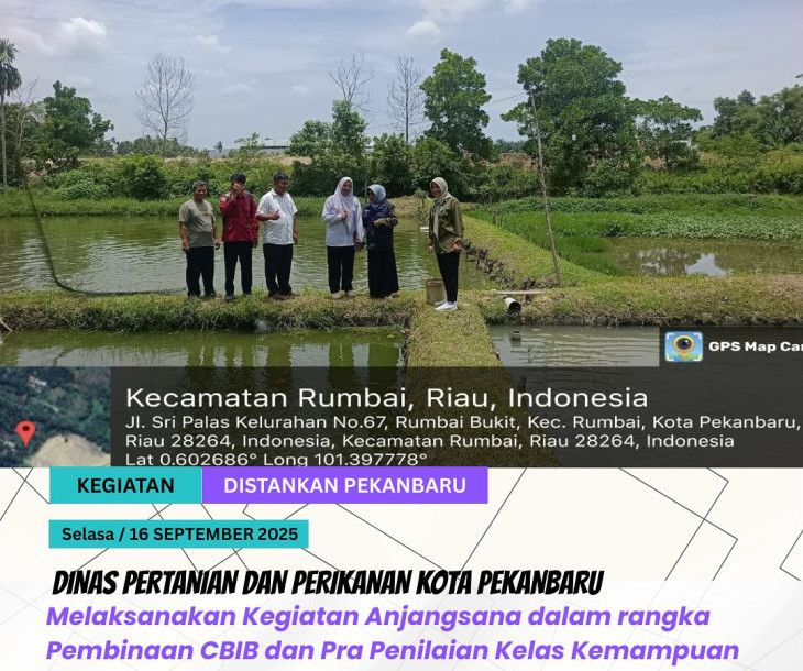 Anjangsana & Pembinaan CBIB di Pokdakan Mina Usaha Rumbai Bukit