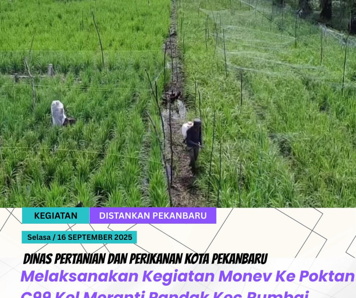 Monitoring dan Evaluasi (Monev) Kelompok Tani C99