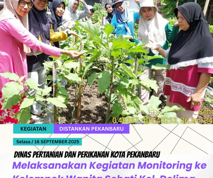 Monitoring Kelompok Wanita Sehati