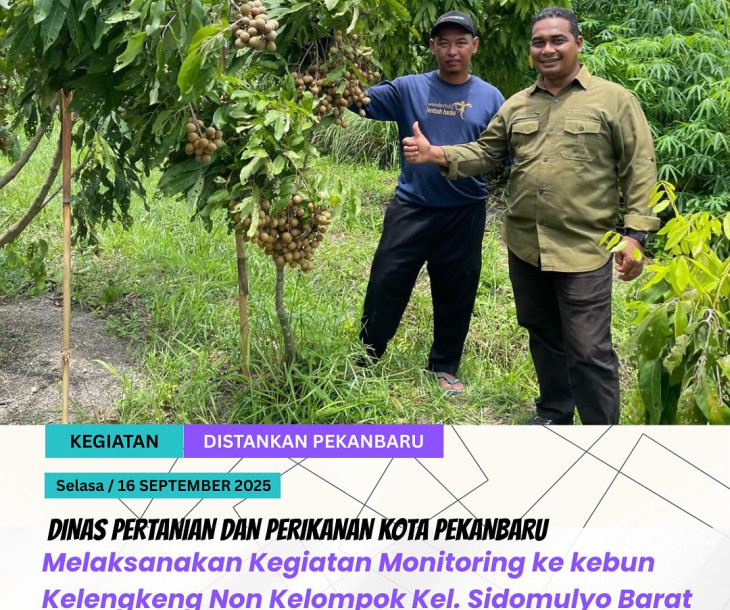 Monitoring Kebun Kelengkeng Non Kelompok - Kel. Sidomulyo Barat