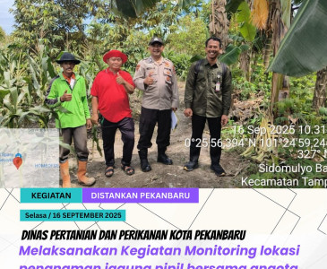 Penyusunan e-RDKK Pupuk Subsidi Tahun 2026 di Kelompok Tani (Poktan) Mustang