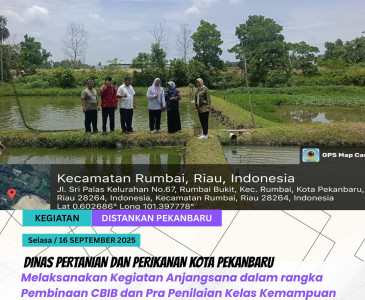 Monitoring panen timun di lahan milik Kelompok Tani Jaya Tani