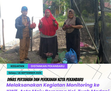Monitoring Kegiatan Budidaya Hortikultura KWT Ibu Tani Maju Jaya