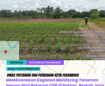 Pertemuan Bulanan Gapoktan / Koperasi Fajar Indah