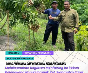 Pelaksanaan Vaksinasi Rabies Gratis - 16 September 2025