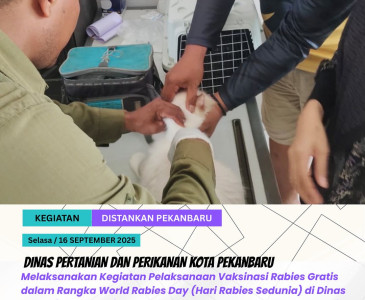 Monitoring & Evaluasi Jagung Pipil + Penyusunan RDKK 2026 di Poktan Prima Jaya