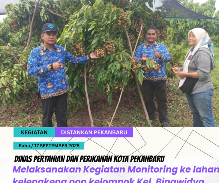 Monitoring Lahan Kelengkeng Non-Kelompok Kel. Binawidya