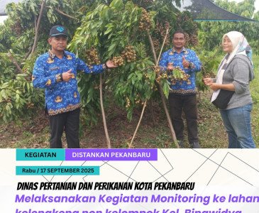Fasilitasi Akses Pemasaran Hasil Tangkapan Nelayan di KUB Rantau Bertuah