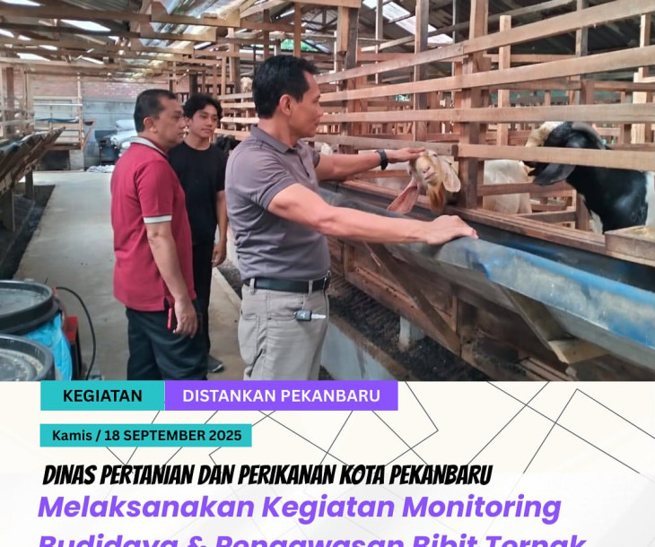 Monitoring Budidaya & Pengawasan Bibit Ternak Kambing Boer