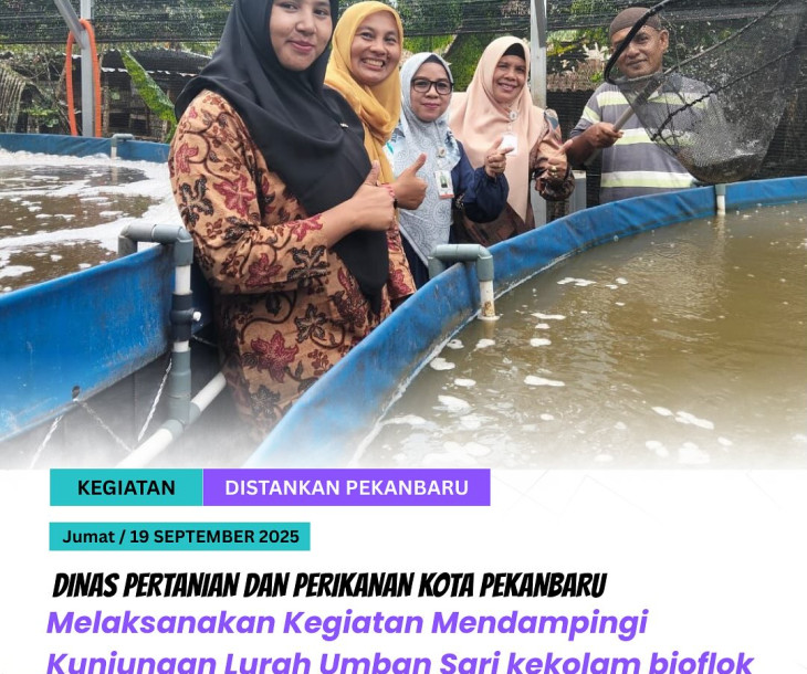 Mendampingi Kunjungan Lurah Umban Sari kekolam bioflok Pokdakan Samudera Umban Sari