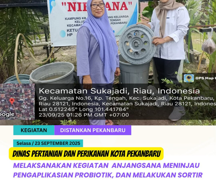 Anjangsana & Pendampingan Budikdamber di Pokdakan Nirwana