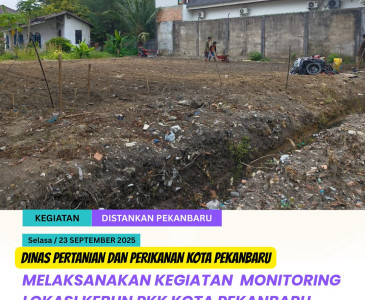 Anjangsana & Pendampingan Budikdamber di Pokdakan Nirwana