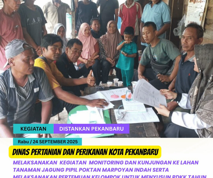 Monitoring & Kunjungan Lahan Jagung Pipil Poktan Marpoyan Indah