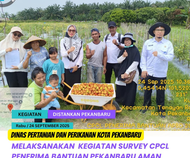 SURVEY CPCL PEKANBARU AMAN BERTANI 2025