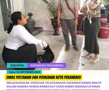 Monitoring & Kunjungan Lahan Jagung Pipil Poktan Marpoyan Indah