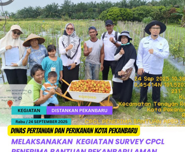 MONITORING & KUNJUNGAN KE KWT DI KELURAHAN SUKAMAJU