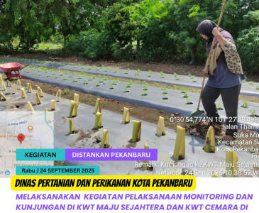 Penyusunan RDKK Kelompok Tani Maju Bersama
