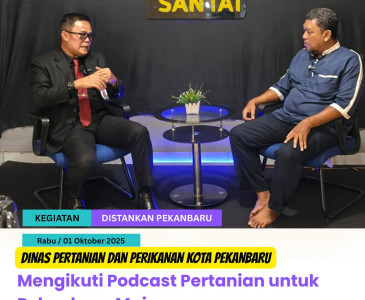 Panen Jagung Pipil Kelompok Tani Maju Bersama