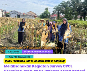 Podcast Pertanian Untuk Pekanbaru Maju