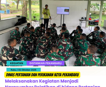 CPCL & Panen Jagung Pipil di Pekanbaru!