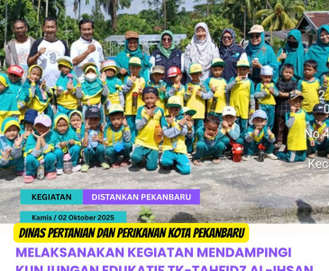 Panen Jagung Varietas Jakarin 1 di Poktan Unedo