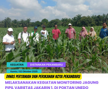 Pertemuan Rutin Pokdakan Mina Usaha – Rumbai Bukit