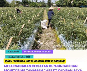 Pelatihan di Bidang Peternakan bagi Para Prajurit Hebat di Batalyon Arhanud 13/PYB