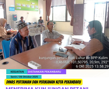 Monitoring Tanaman Jagung Pipil & Persiapan Tanam – Kelompok Sahabat Dapur Umat