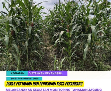 Rapat Persiapan Penilaian Usaha Perkebunan Kota Pekanbaru