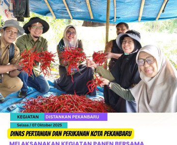 Penyerahan Surat Pengesahan Kelompok & Pembahasan Rancangan Aktualisasi Latsar