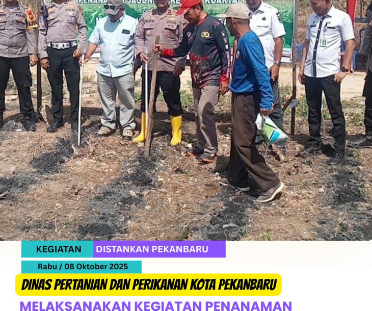 Penanaman Jagung Bersama Polsek Tenayan Raya