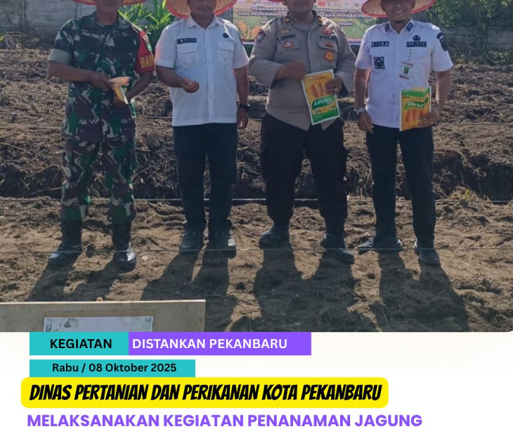 Penanaman Jagung Pipil BPP Tampan Bersama Kapolres Bina Widya