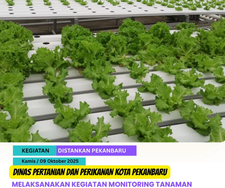 Monitoring Tanaman Hidroponik KWT Bertuah