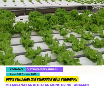 Pendampingan Manajemen Usaha & Akses Kemitraan Kelompok Tobek Berkah Bersama