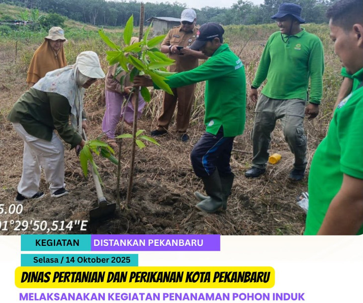 Penanaman Pohon Induk Mangga, Alpukat, dan Durian di Poktan Berkah Mandiri Tani