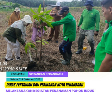Panen Raya Padi Gogo di  Kelompok Tani Mugirahayu dan Tunas Muda