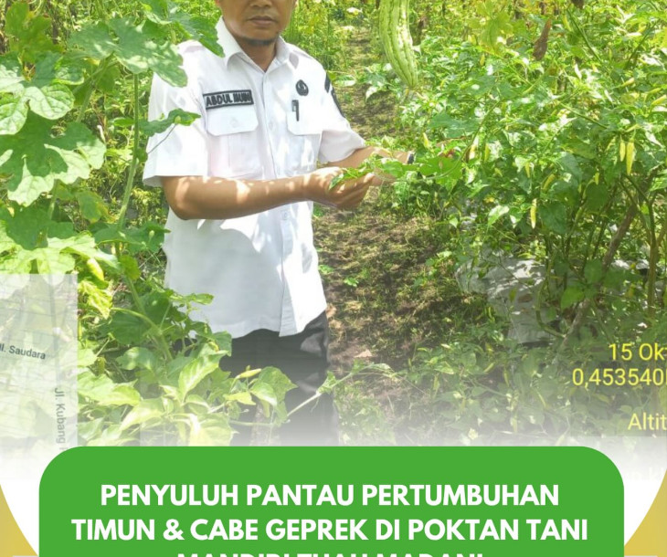 Monitoring Tanaman Poktan Tani Mandiri