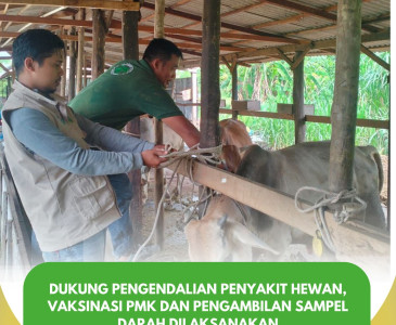 Kunjungan & Bincang Santai Bersama Petugas Peternakan di Kandang Kelompok Unggas Melati Jaya