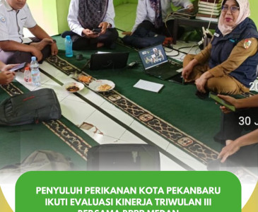 PANEN RAYA PADI DI RUMBAI TIMUR!