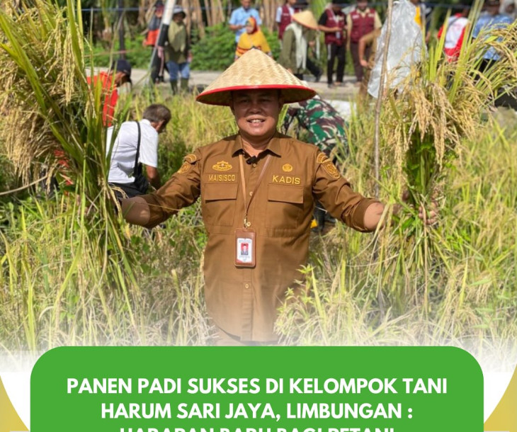 PANEN RAYA PADI DI RUMBAI TIMUR!