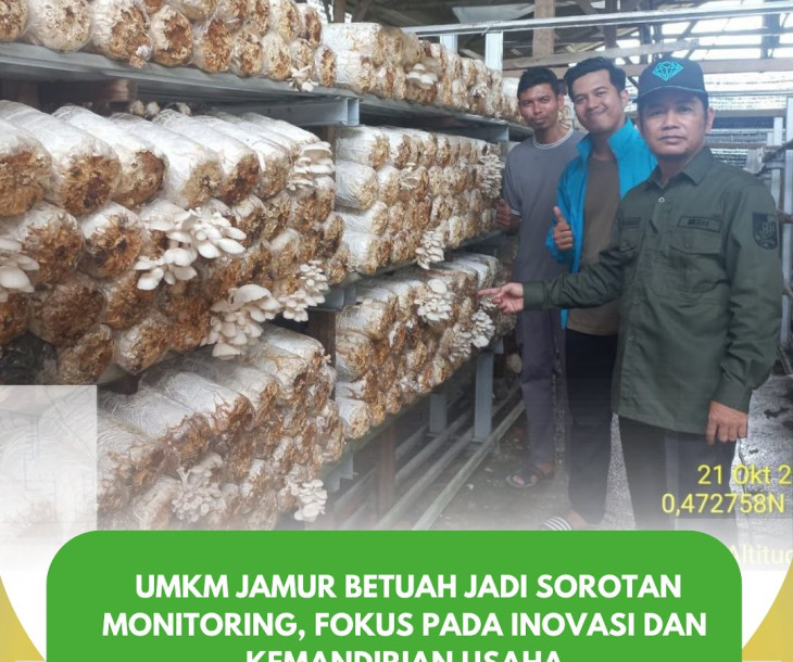 Monitoring UMKM Jamur Betuah