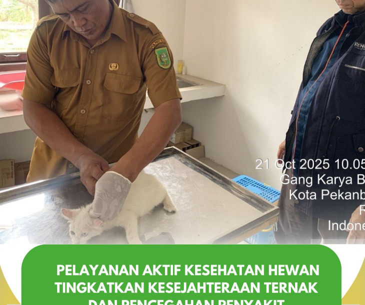 Pelayanan Aktif Kesehatan Hewan di Kota Pekanbaru