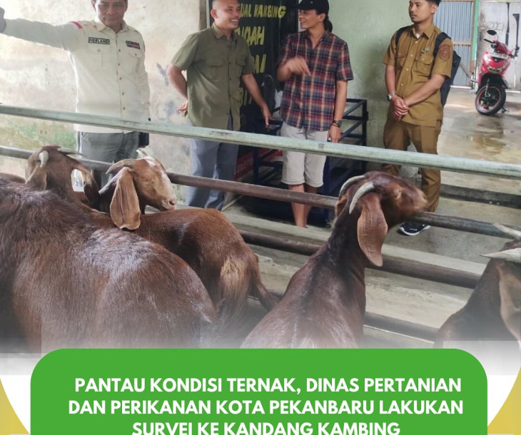 SURVEI & KUNJUNGAN PETERNAKAN KAMBING BOER